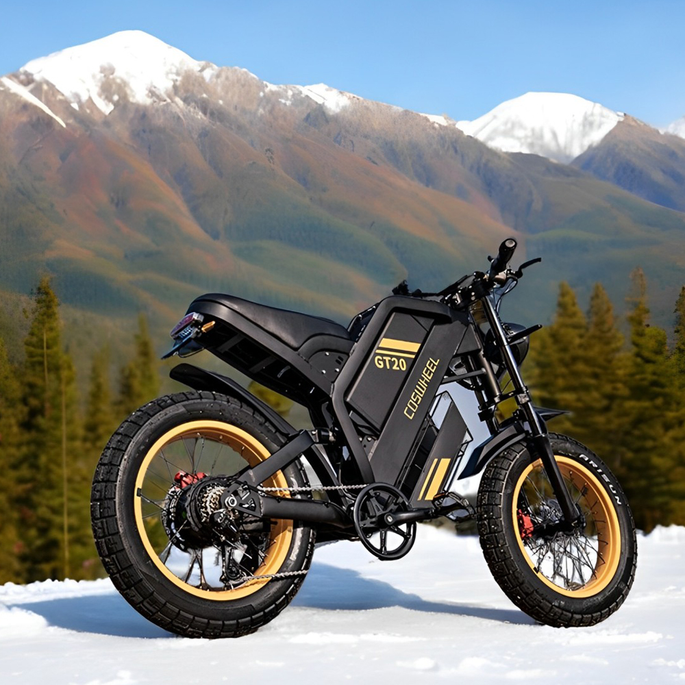 Motorcycle Gear Ratings - Coswheel Elektrofahrrad für Erwachsene 2000W 60V